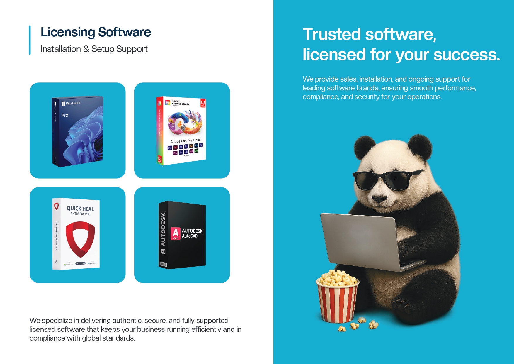Licensing Software